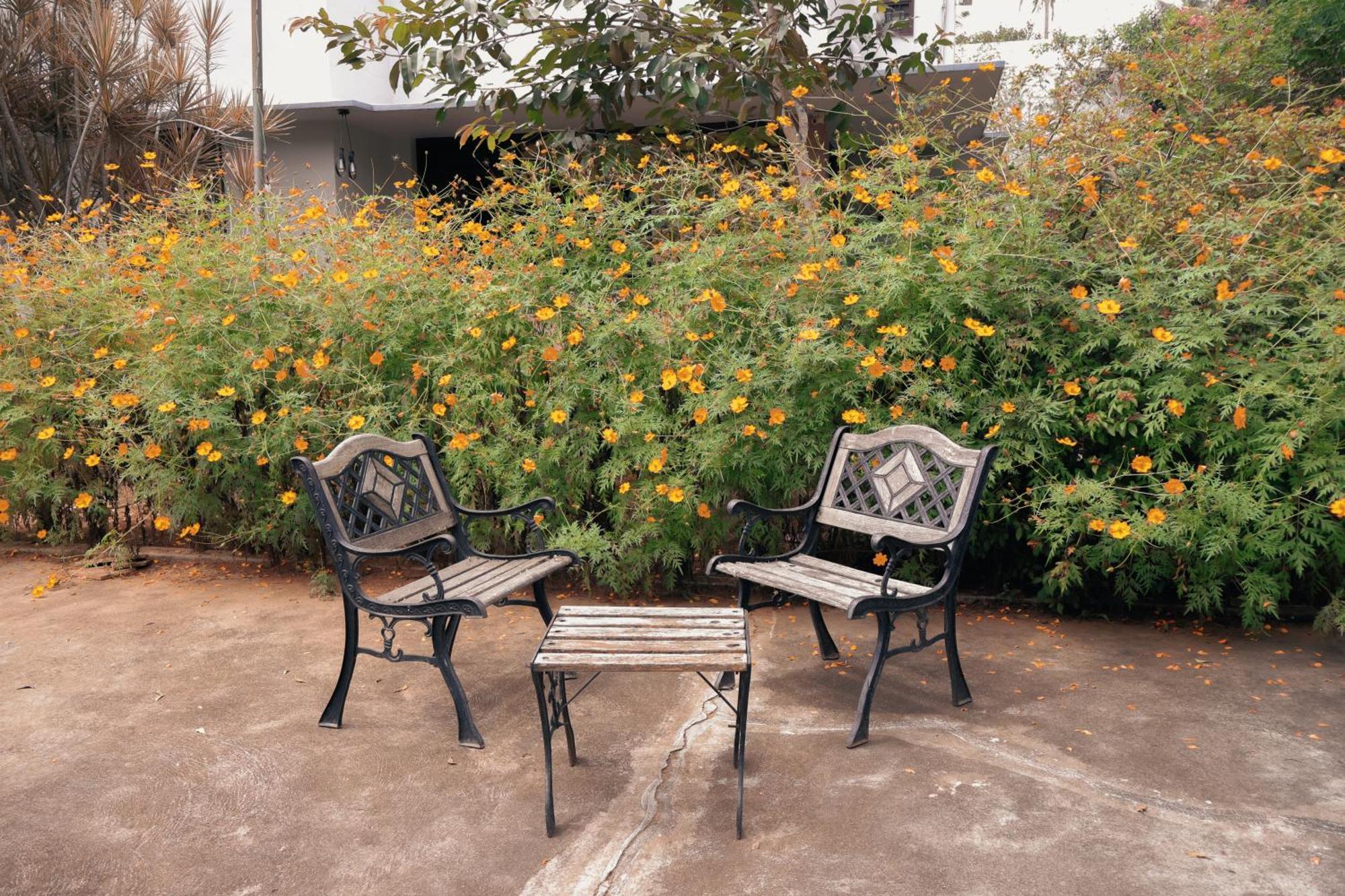 Hostel Stories Mysore Bagian luar foto